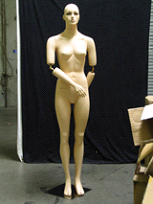 Hybrid male and female mannequin flexible arms