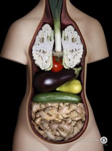 international_vegetarian_union_anatomy_model_woman