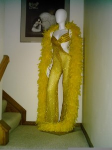 Cher dresses