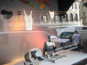 Display of the Day Using a Mannequin